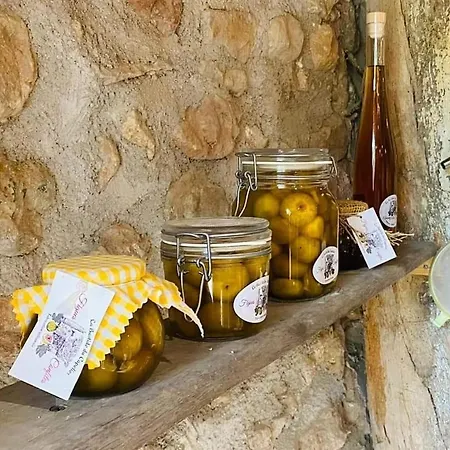 Apartment La Bastide Du Capelier - Pour 4 Personnes Avec Baignoire Balneotherapie