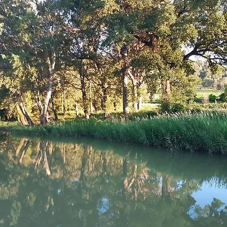 Apartment La Bastide Du Capelier - Pour 4 Personnes Avec Baignoire Balneotherapie